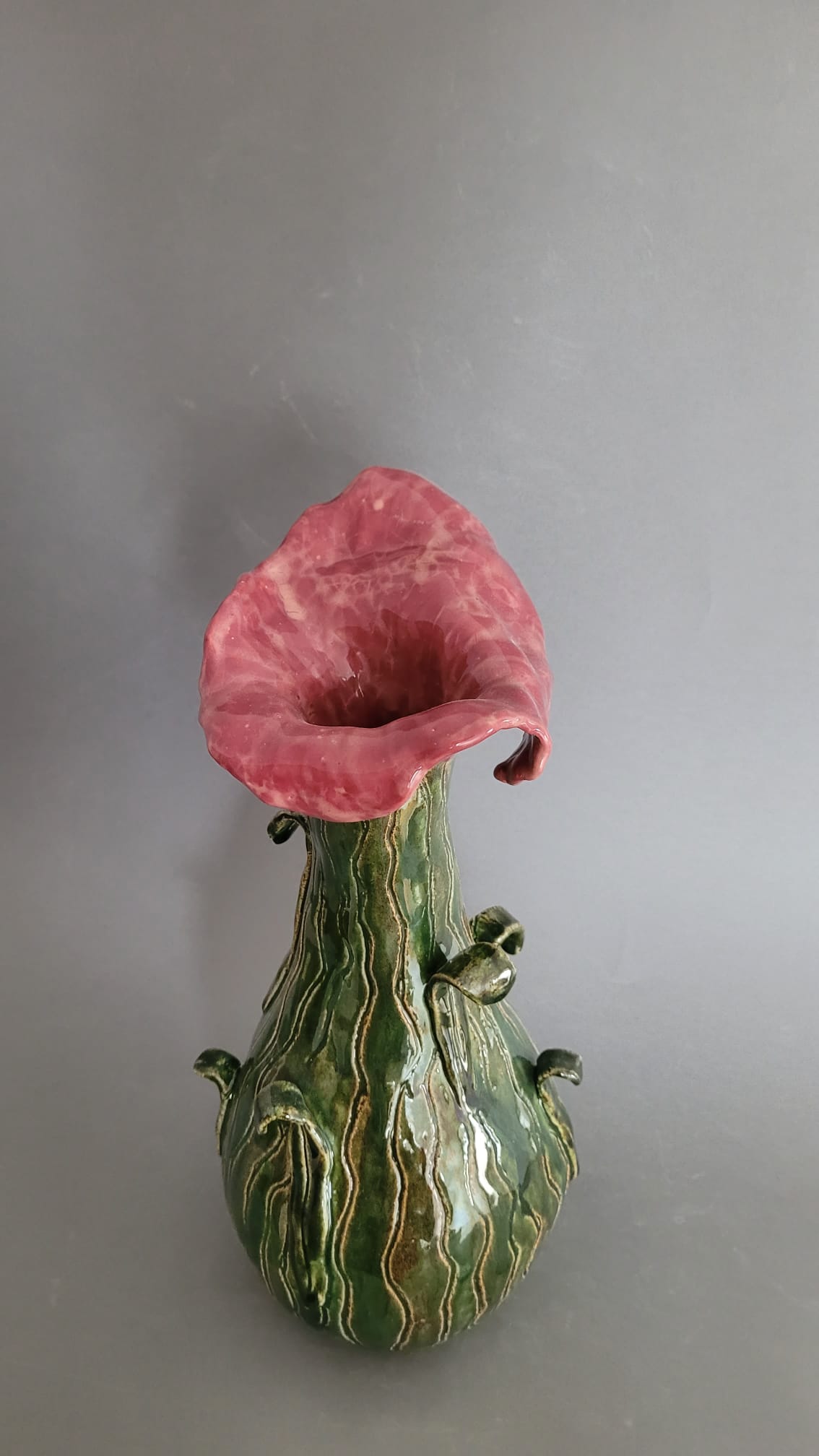 Rajski ptak - obrazek 5