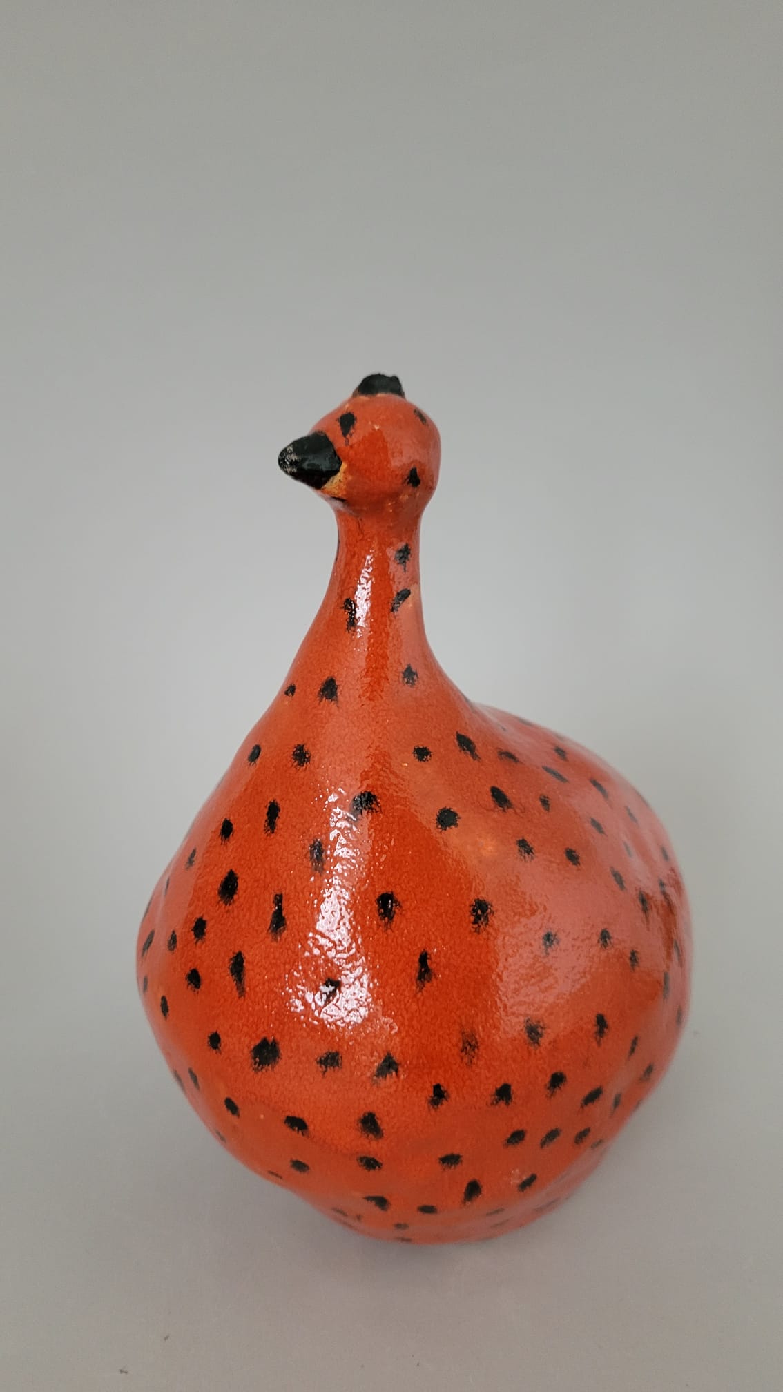 Piegowaty ptak - obrazek 3