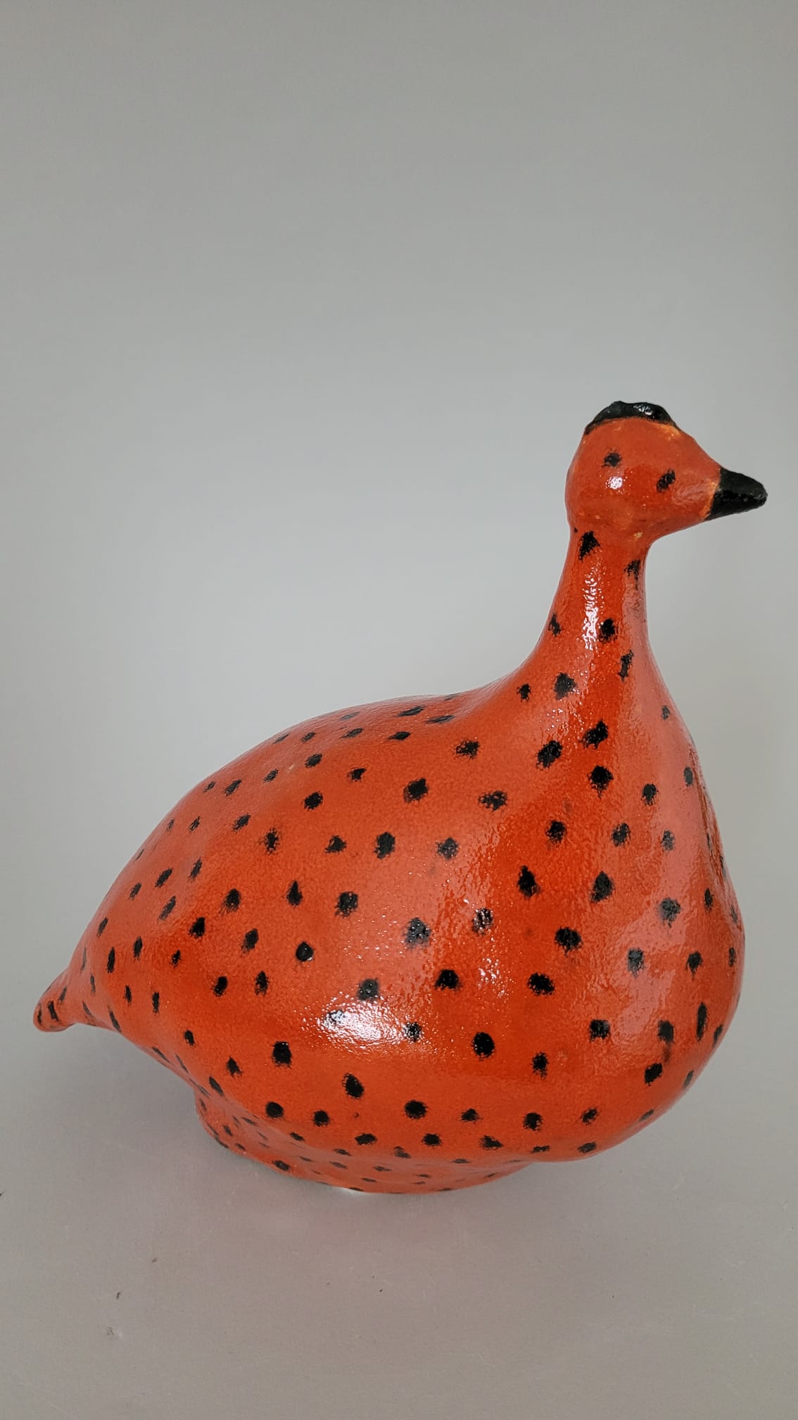 Piegowaty ptak - obrazek 4