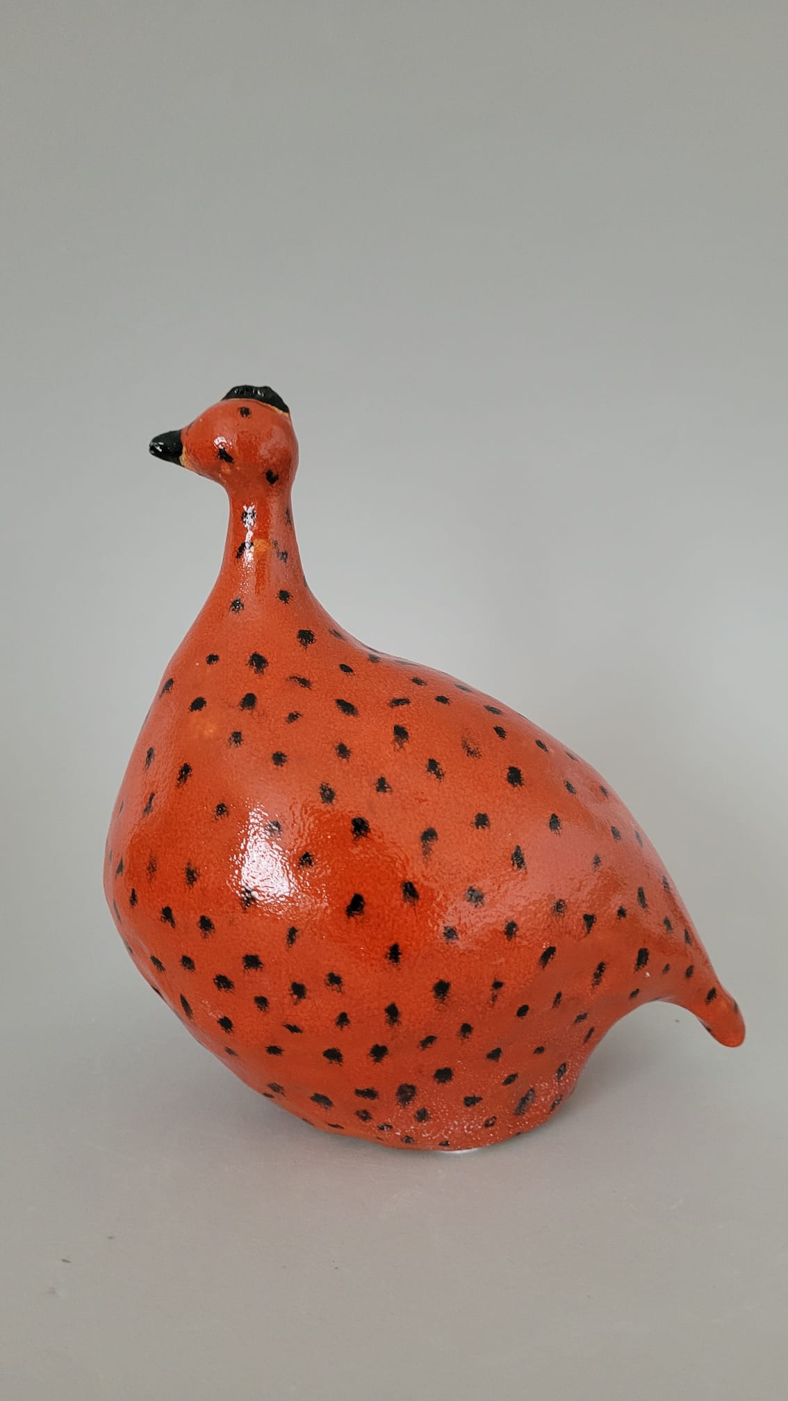 Piegowaty ptak - obrazek 2