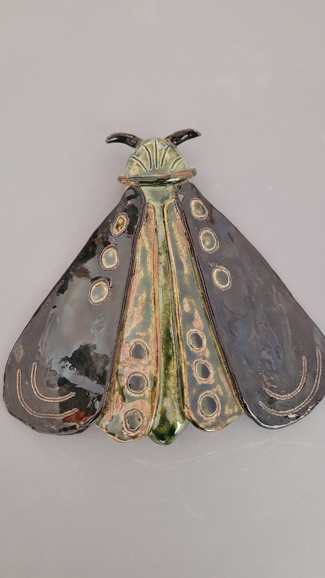 Nocny motyl - obrazek 4