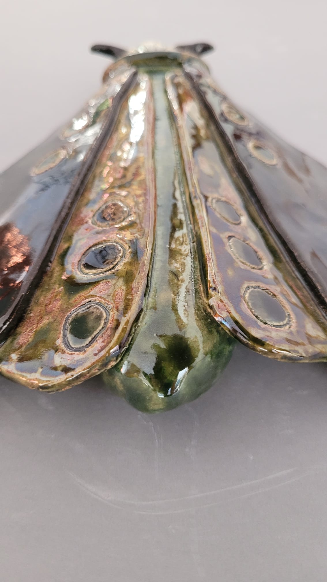 Nocny motyl - obrazek 2