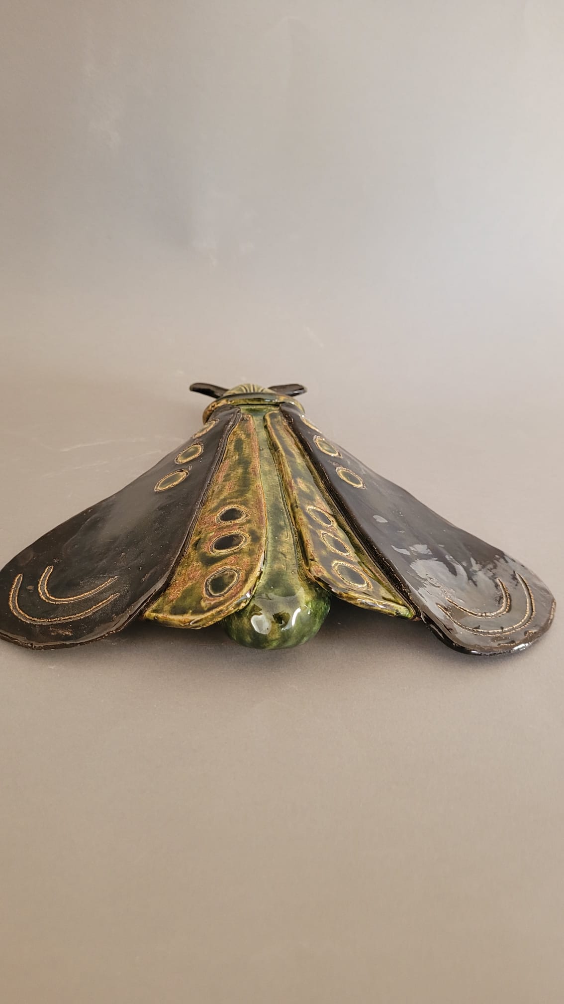 Nocny motyl - obrazek 3