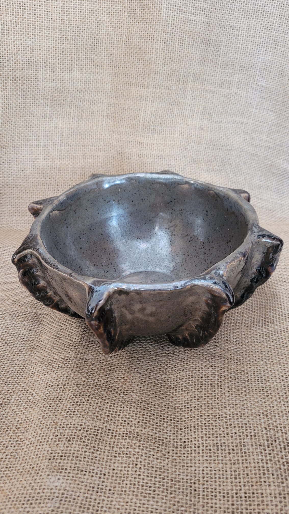 Taka sobie miska - obrazek 4