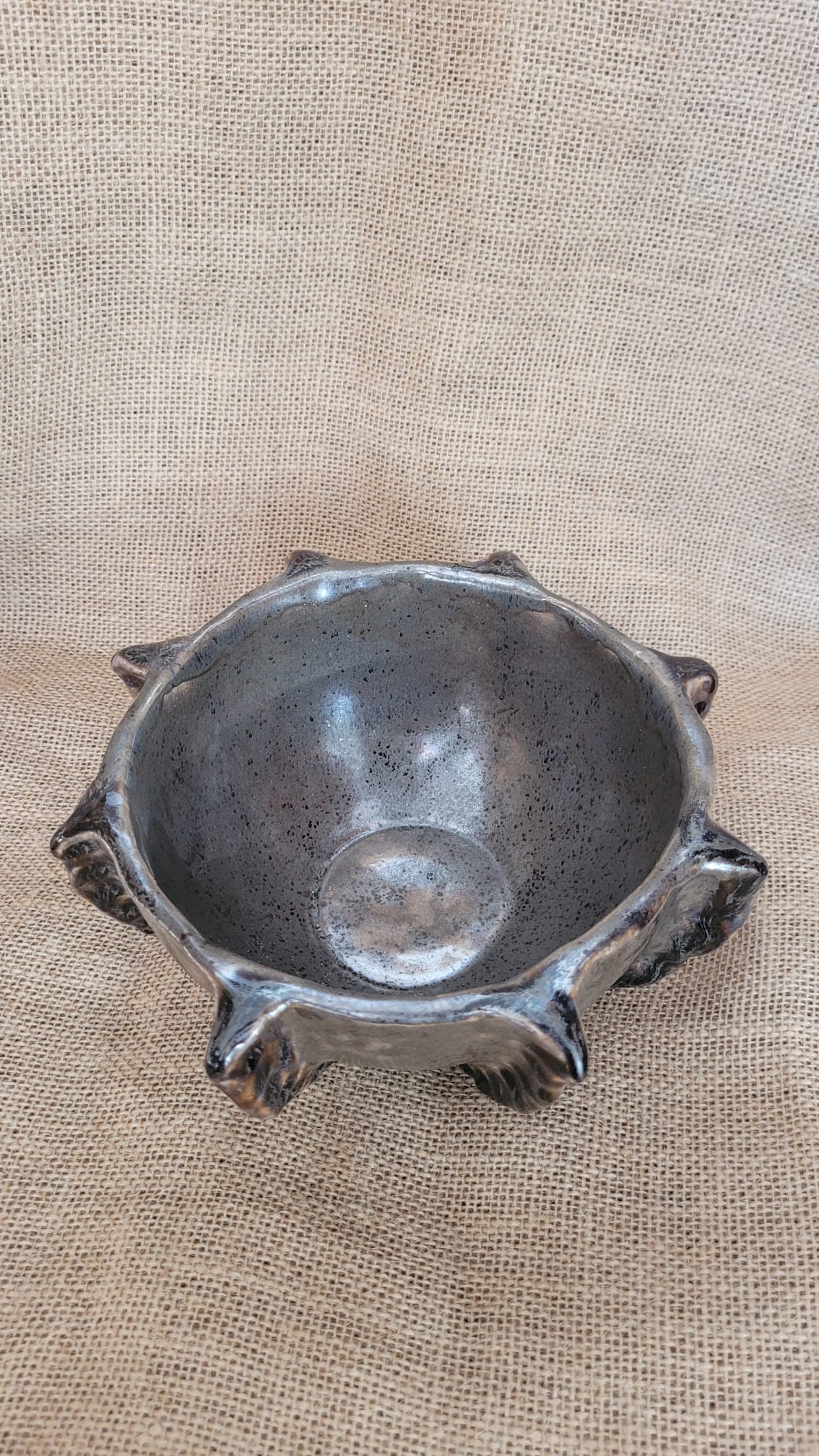 Taka sobie miska - obrazek 3